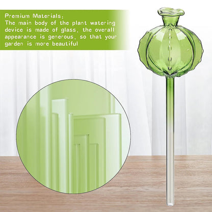 Flower Glass Ball Plant (SMILEDRIP)