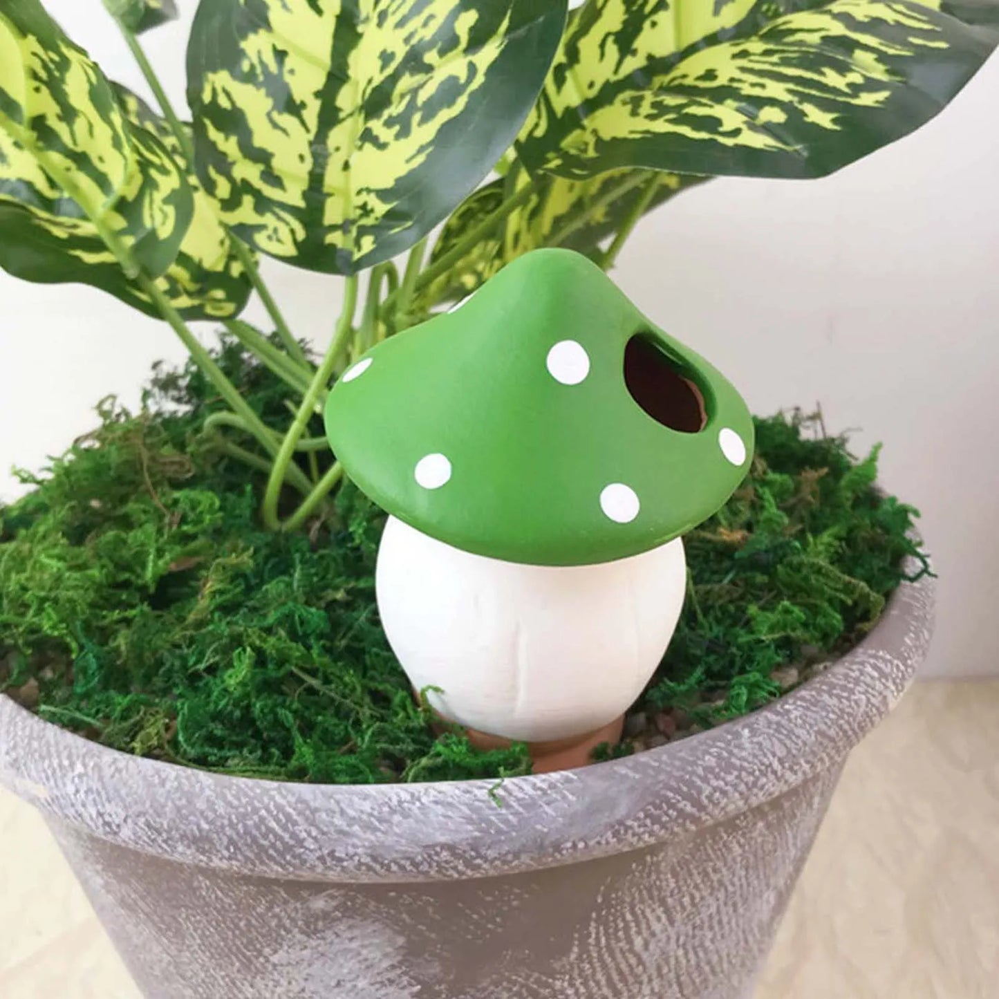 4pcs Colored mushroom (SMILEDRIP)