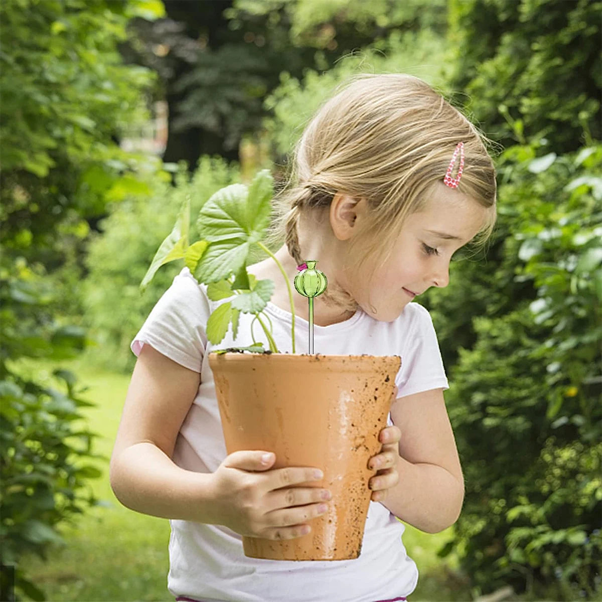 Flower Glass Ball Plant (SMILEDRIP)