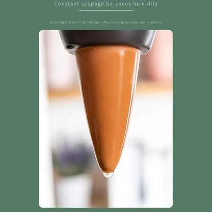 cute Cartoon Decorative (SMILEDRIP)