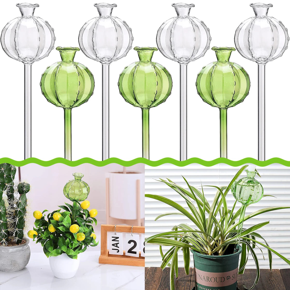 Flower Glass Ball Plant (SMILEDRIP)