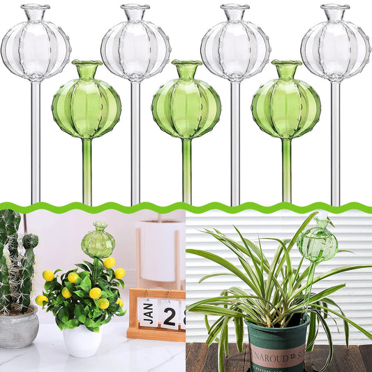 Flower Glass Ball Plant (SMILEDRIP)