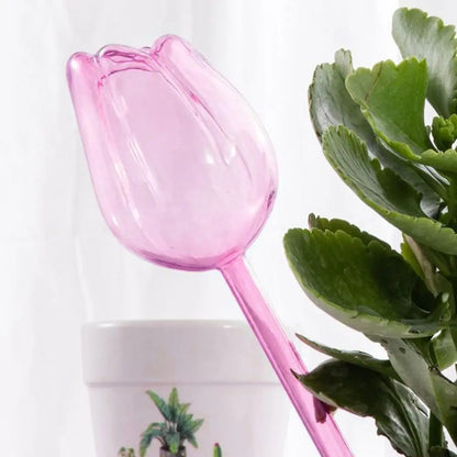 Bulbs Clear Tulip flower (SMILEDRIP)