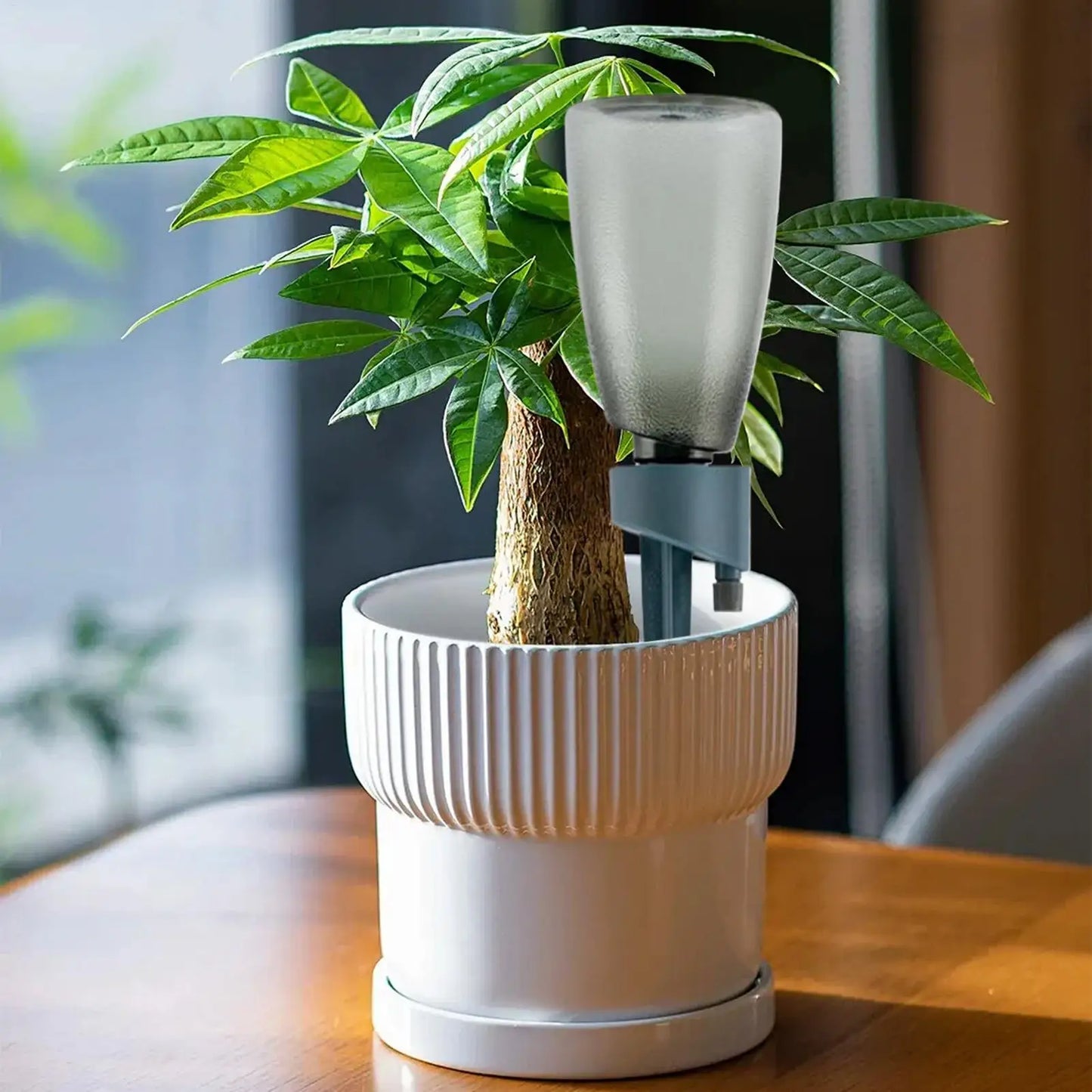 6pcs Device Automatic Drip Irrigation System (SMILEDRIP)