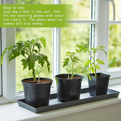 Flower Glass Ball Plant (SMILEDRIP)