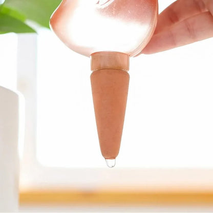 Cute Birds (SMILEDRIP)