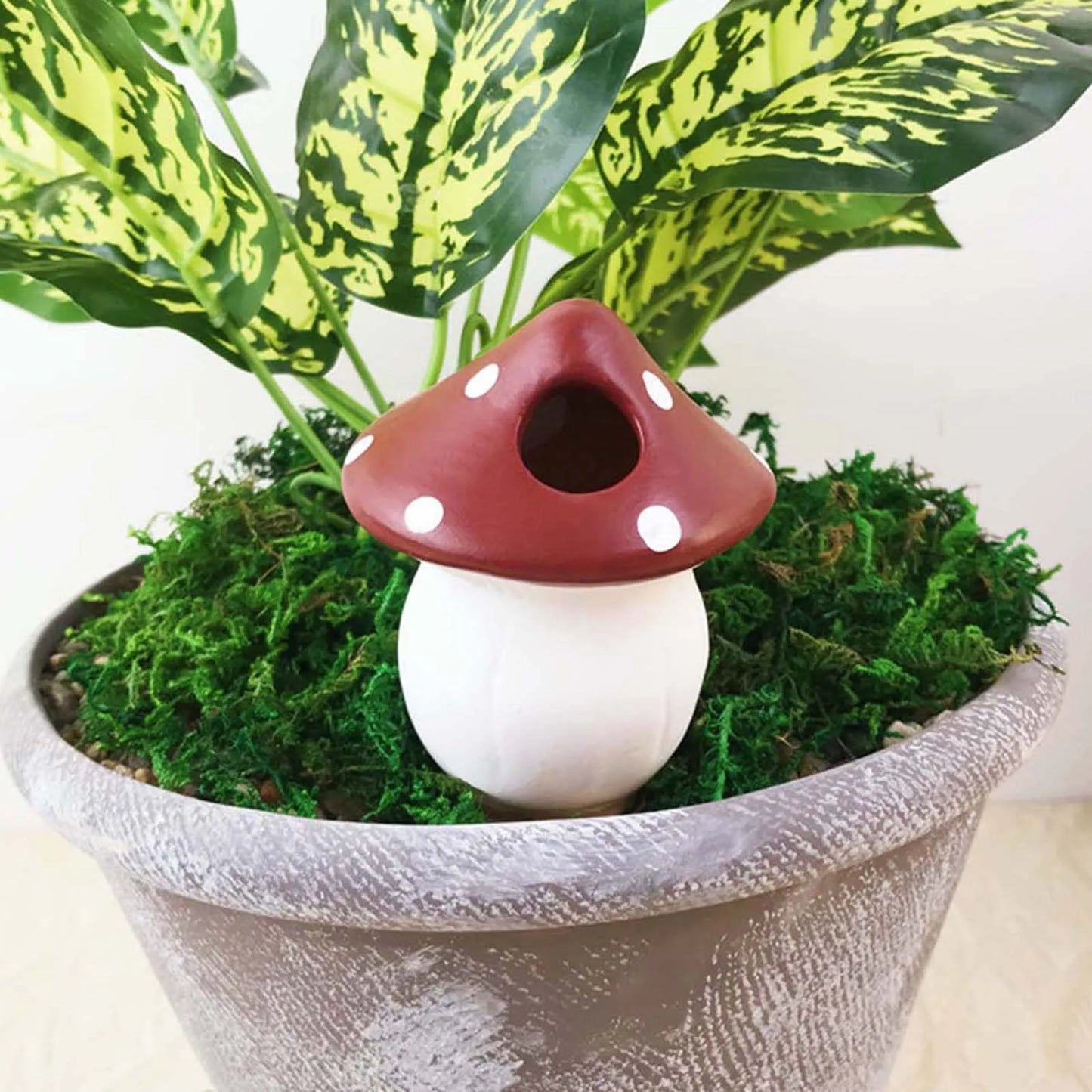 4pcs Colored mushroom (SMILEDRIP)