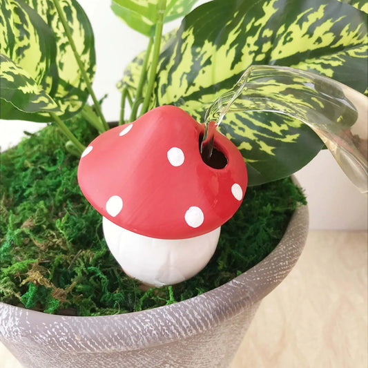 4pcs Colored mushroom (SMILEDRIP)