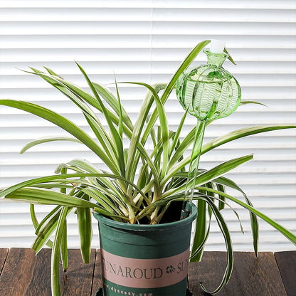 Flower Glass Ball Plant (SMILEDRIP)