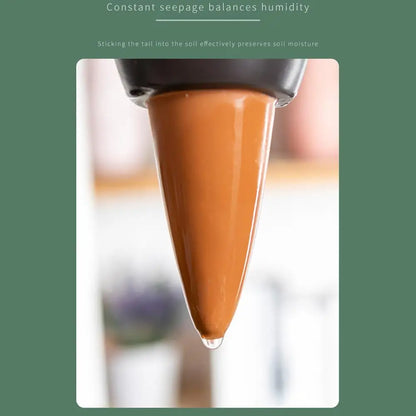 cute Cartoon Decorative (SMILEDRIP)