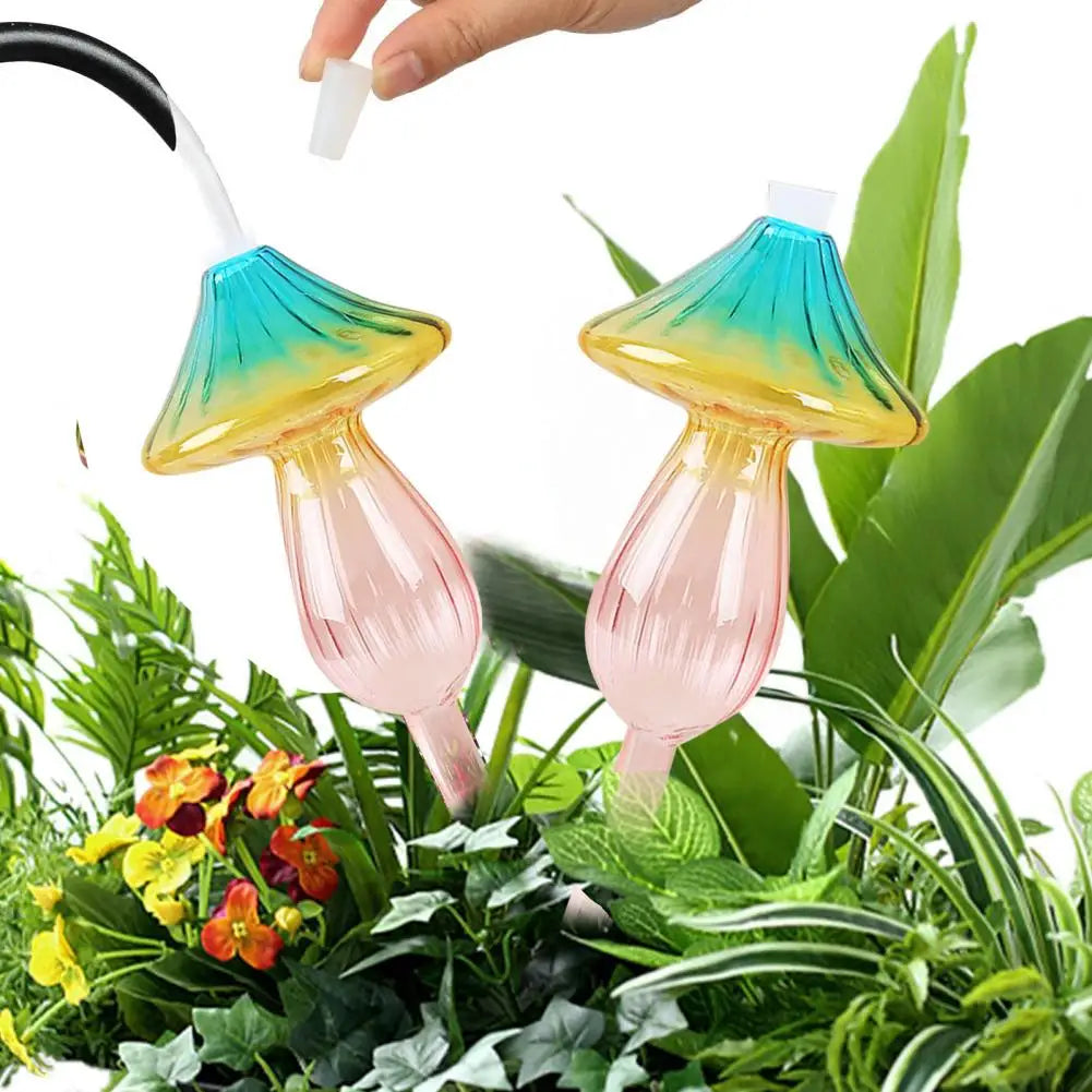 Strawberry in colors (SMILEDRIP)