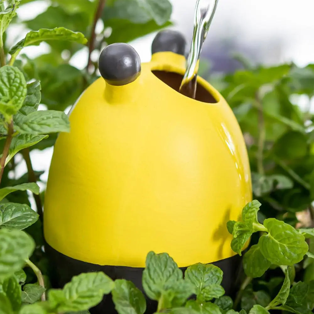 cute Cartoon Decorative (SMILEDRIP)