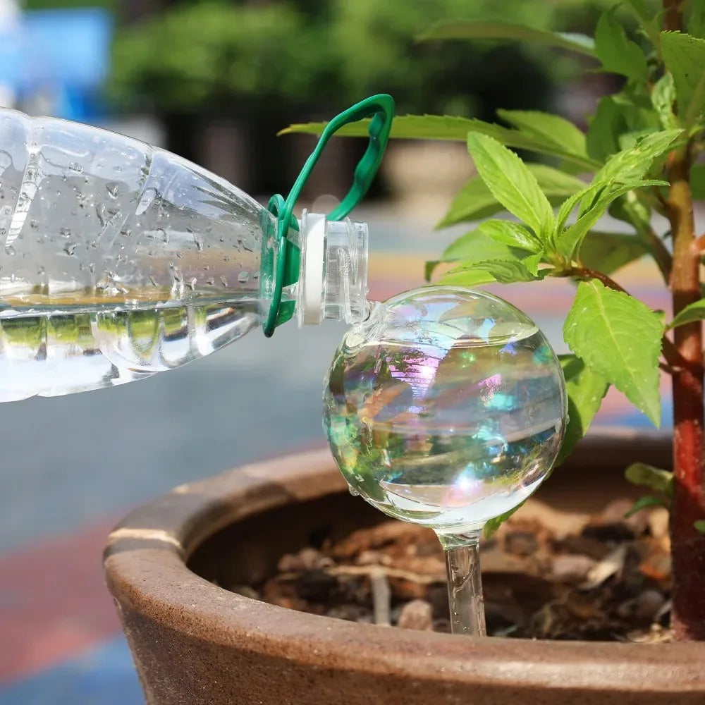 4/2 PCS Glass Globe  Bulb Color (SMILEDRIP)