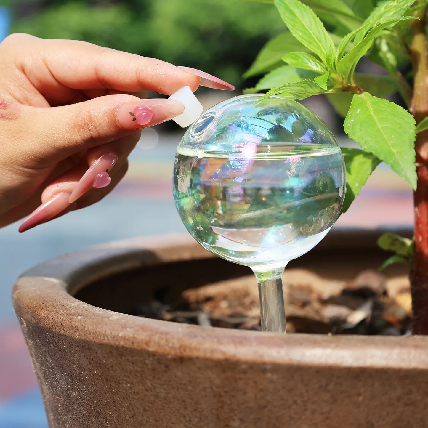 4/2 PCS Glass Globe  Bulb Color (SMILEDRIP)