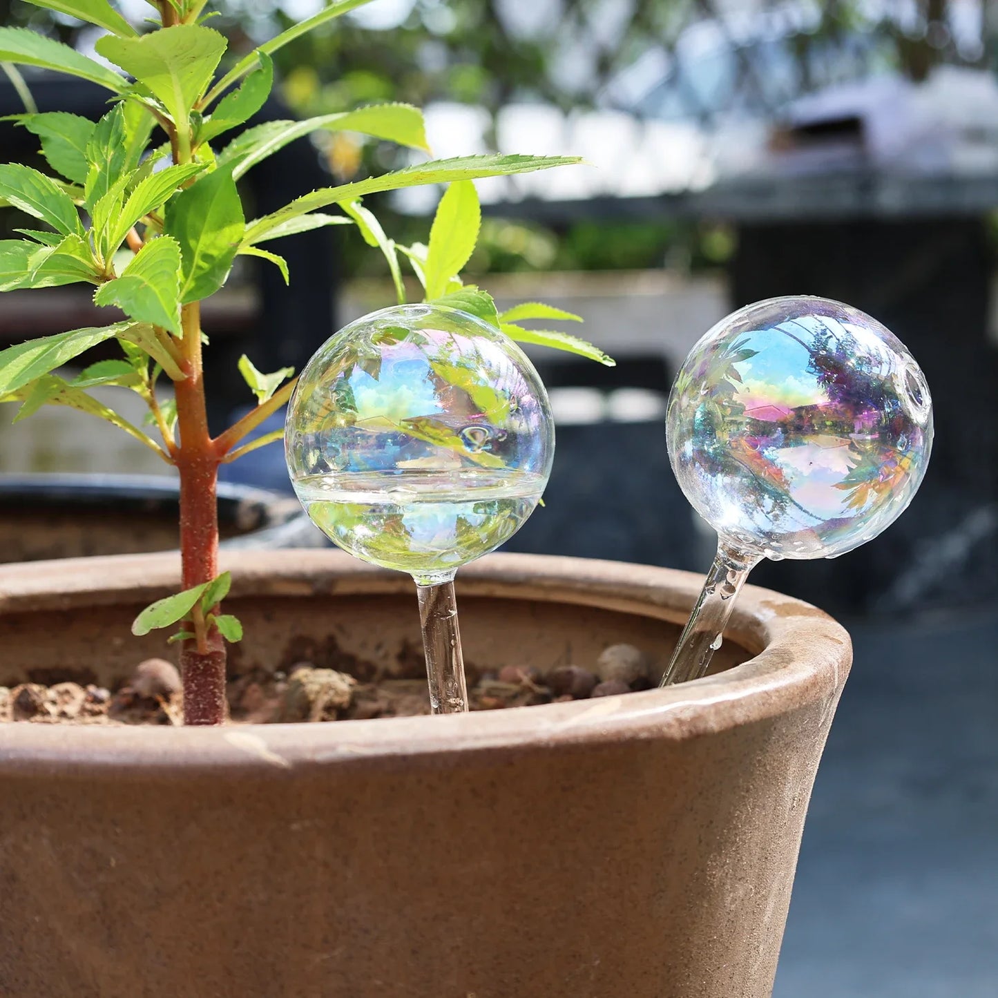 4/2 PCS Glass Globe  Bulb Color (SMILEDRIP)