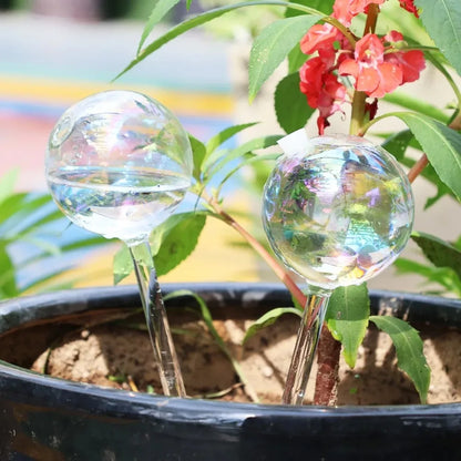 4/2 PCS Glass Globe  Bulb Color (SMILEDRIP)