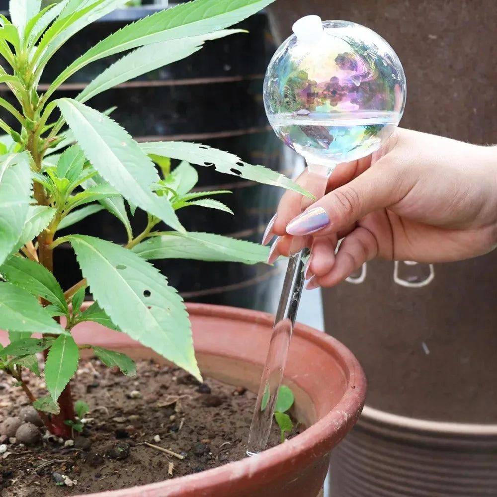 4/2 PCS Glass Globe  Bulb Color (SMILEDRIP)