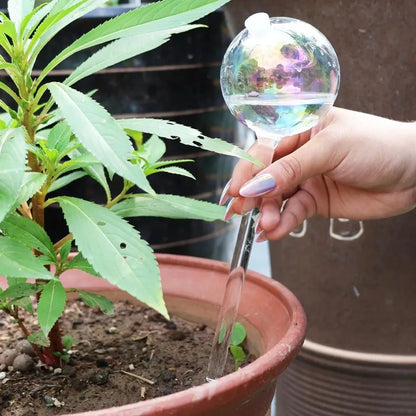 4/2 PCS Glass Globe  Bulb Color (SMILEDRIP)