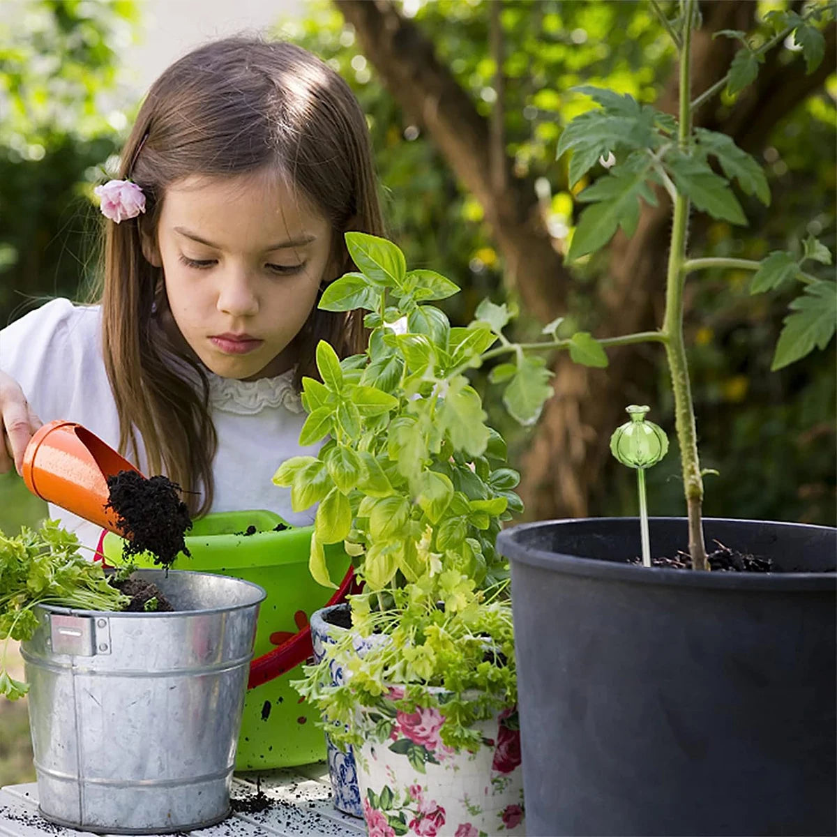 Flower Glass Ball Plant (SMILEDRIP)
