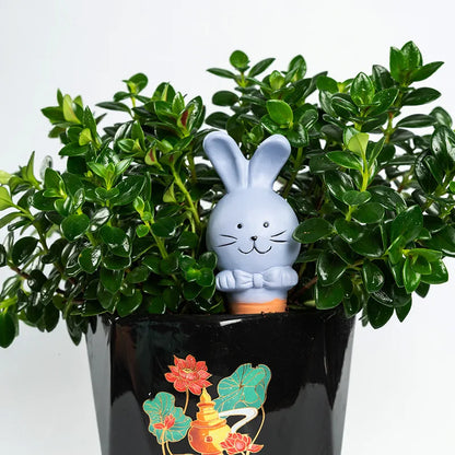 4PCS Stakes Bunny Self-Watering  Ceramic (SMILEDRIP)