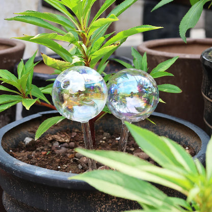 4/2 PCS Glass Globe  Bulb Color (SMILEDRIP)