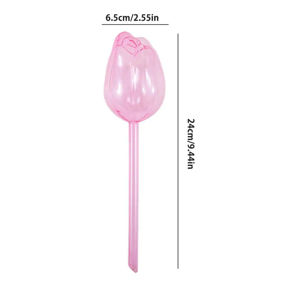 Bulbs Clear Tulip flower (SMILEDRIP)