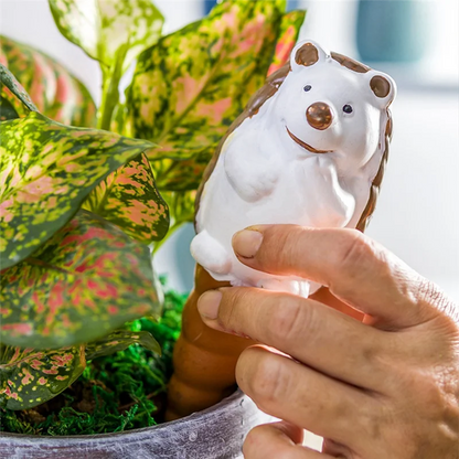 AEE2-4 Pack  Cute Hedgehog Shape (SMILEDRIP)